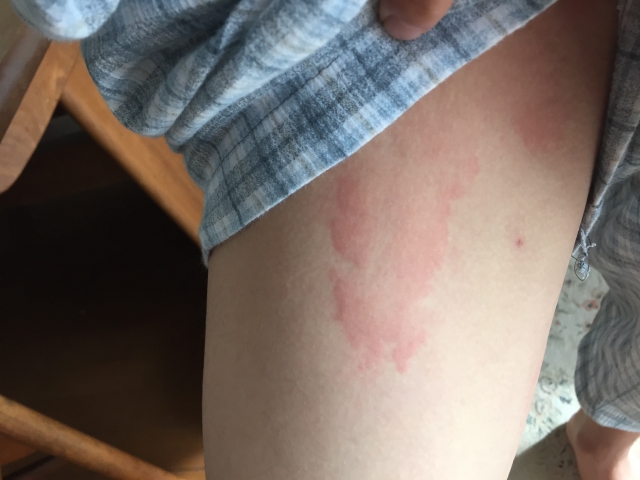 (參考圖片/圖片來源:PhotoAC) (參考圖片/圖片來源:PhotoAC)