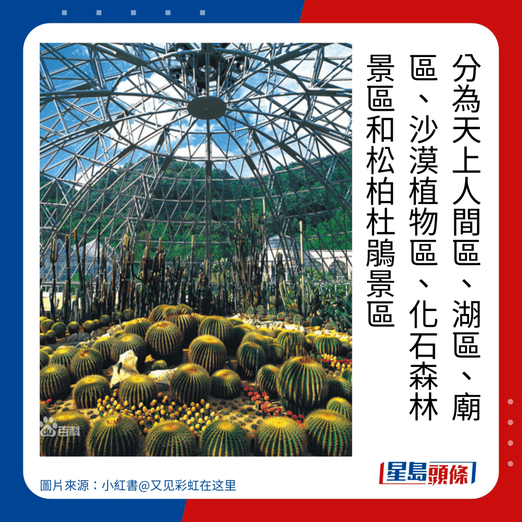 深圳好去處2023｜深圳一日遊景點推介｜仙湖植物園分為天上人間區、湖區、廟區、沙漠植物區、化石森林景區和松柏杜鵑景區。