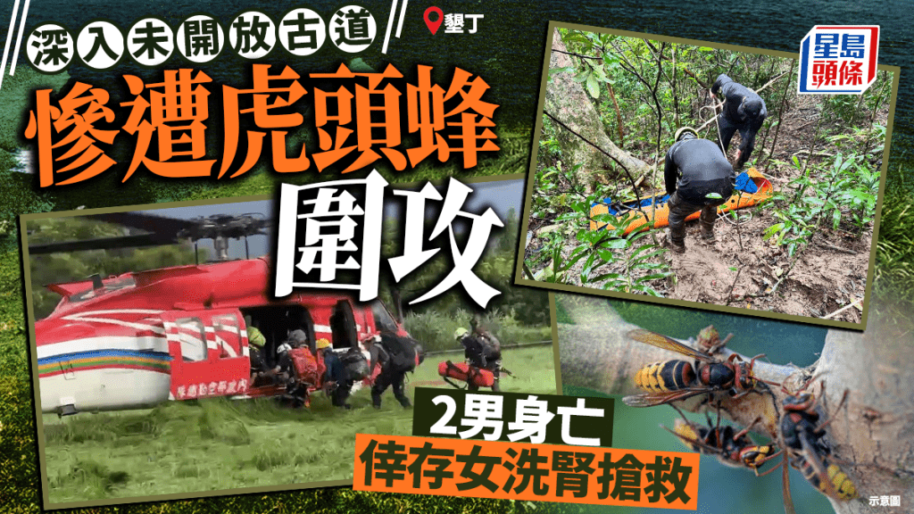 遊台注意︱墾丁虎頭蜂蜇3資深搜救隊員  2男身亡倖存女中逾30針要洗腎