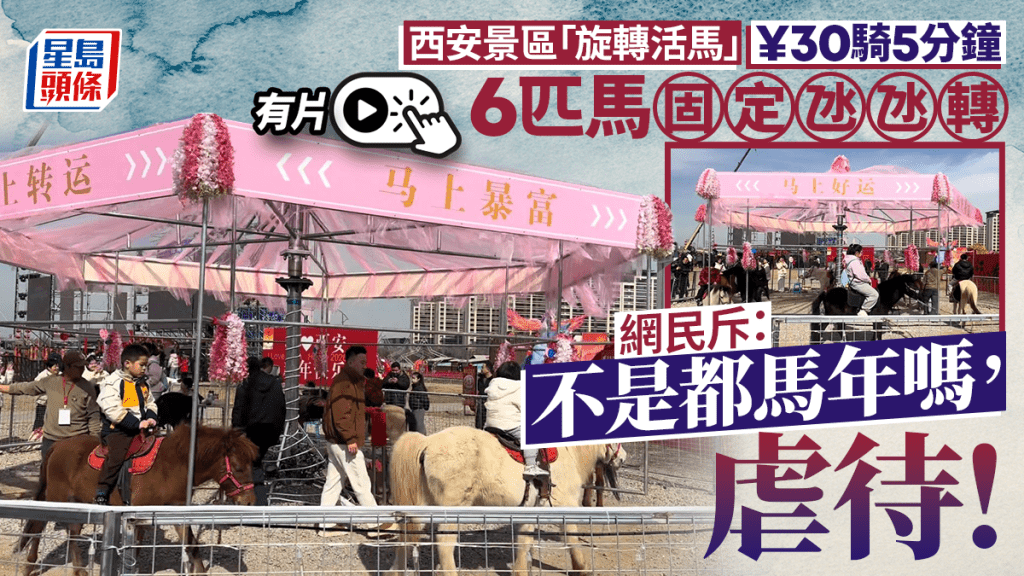 西安有遊樂場推出「旋轉活馬」項目引起虐畜爭論。