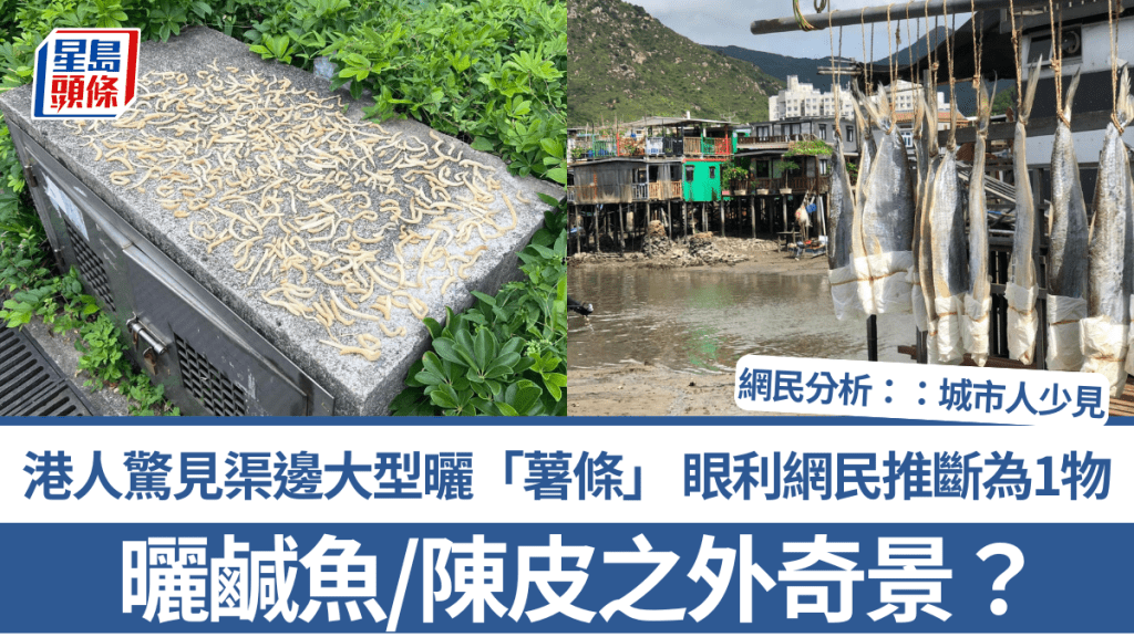 曬鹹魚/陳皮之外奇景？港人驚見渠邊大型曬「薯條」 眼利網民推斷為1物：城市人少見