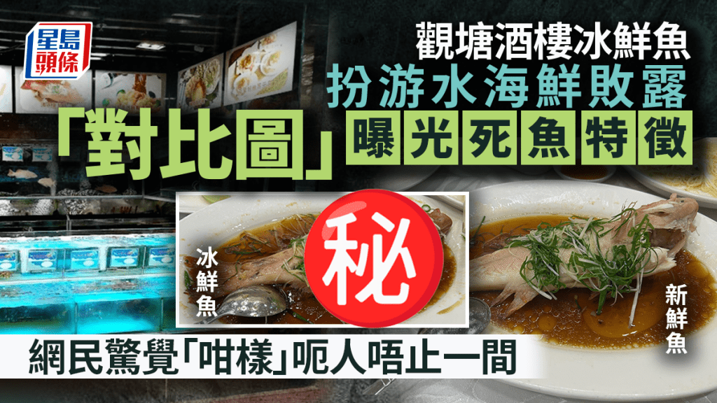 觀塘酒樓冰鮮魚扮游水海鮮敗露 「對比圖」瘋傳曝光死魚特徵 網民驚覺「咁樣」呃人唔止一間｜Juicy叮