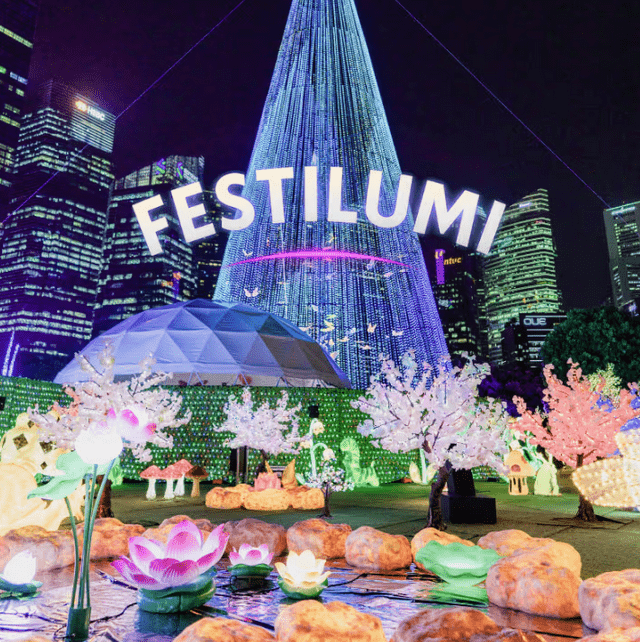 Festilumi光影幻想世界。Fever圖片 Festilumi光影幻想世界。Fever圖片