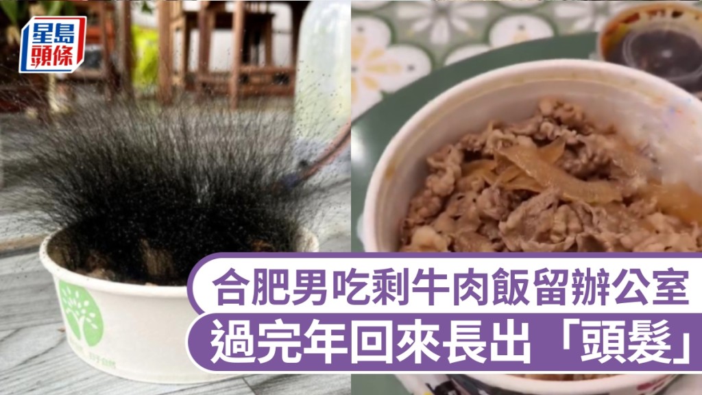 合肥男吃剩牛肉饭留办公室，过完年回来长出「头发」。