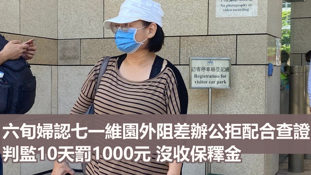 婦人承認去年七一在銅鑼灣阻差辦公。資料圖片