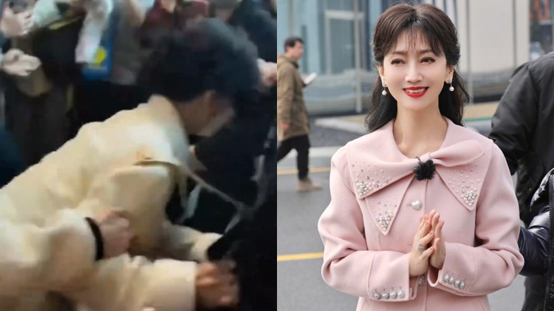 趙雅芝慘遭推撞向前仆畫面曝光  保安怒極反擊場面失控  遭狂迷緊盯生命屢受威脅