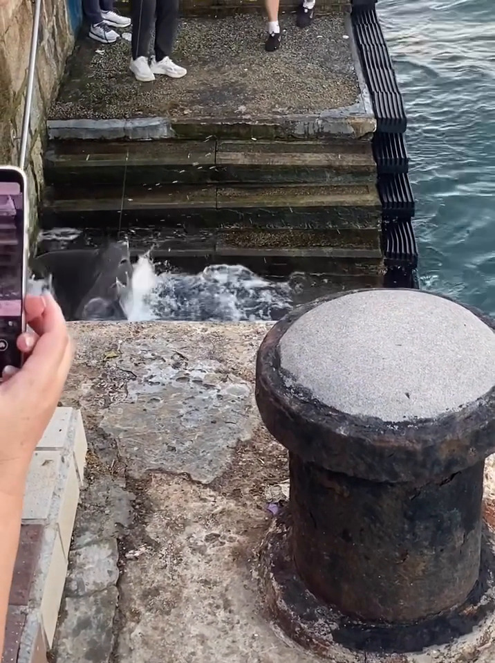 facebook截圖（資料來源：Ken Yu＠facebook筲箕灣西灣河關注組）