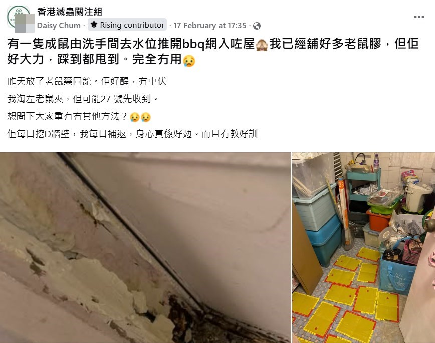 facebook截圖(資料來源:Daisy Chum@facebook香港滅蟲關注組) facebook截圖(資料來源:Daisy Chum@facebook香港滅蟲關注組)