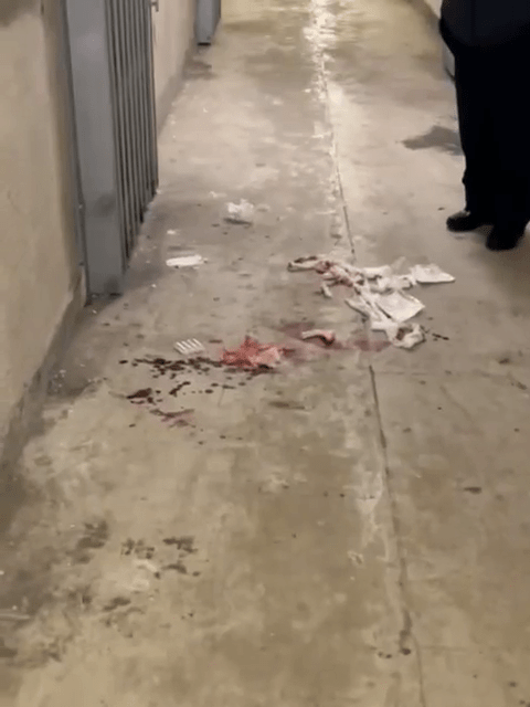 走廊事發時血跡斑斑。受訪者提供 走廊事發時血跡斑斑。受訪者提供