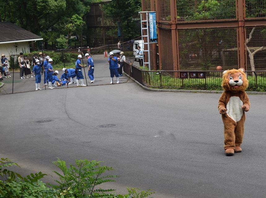 爱媛县Tobe动物园近日进行「动物逃脱演习」。Twitter图片