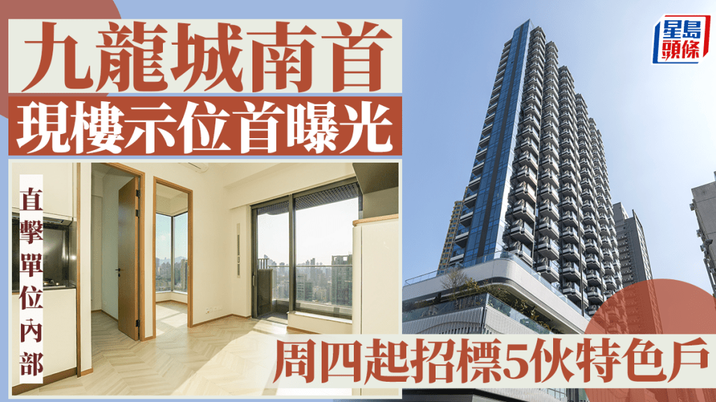 九龙城南首现楼示位首曝光 周四起招标5伙特色户