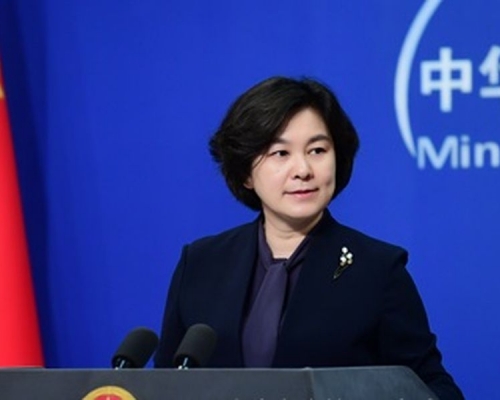 中國外交部發言人華春瑩表示中方對和世衛在各種合作上保持開放。 網圖