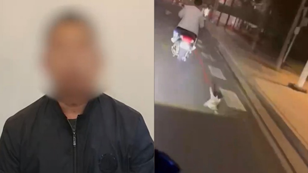 男子公開道歉指以後會好好愛護動物。