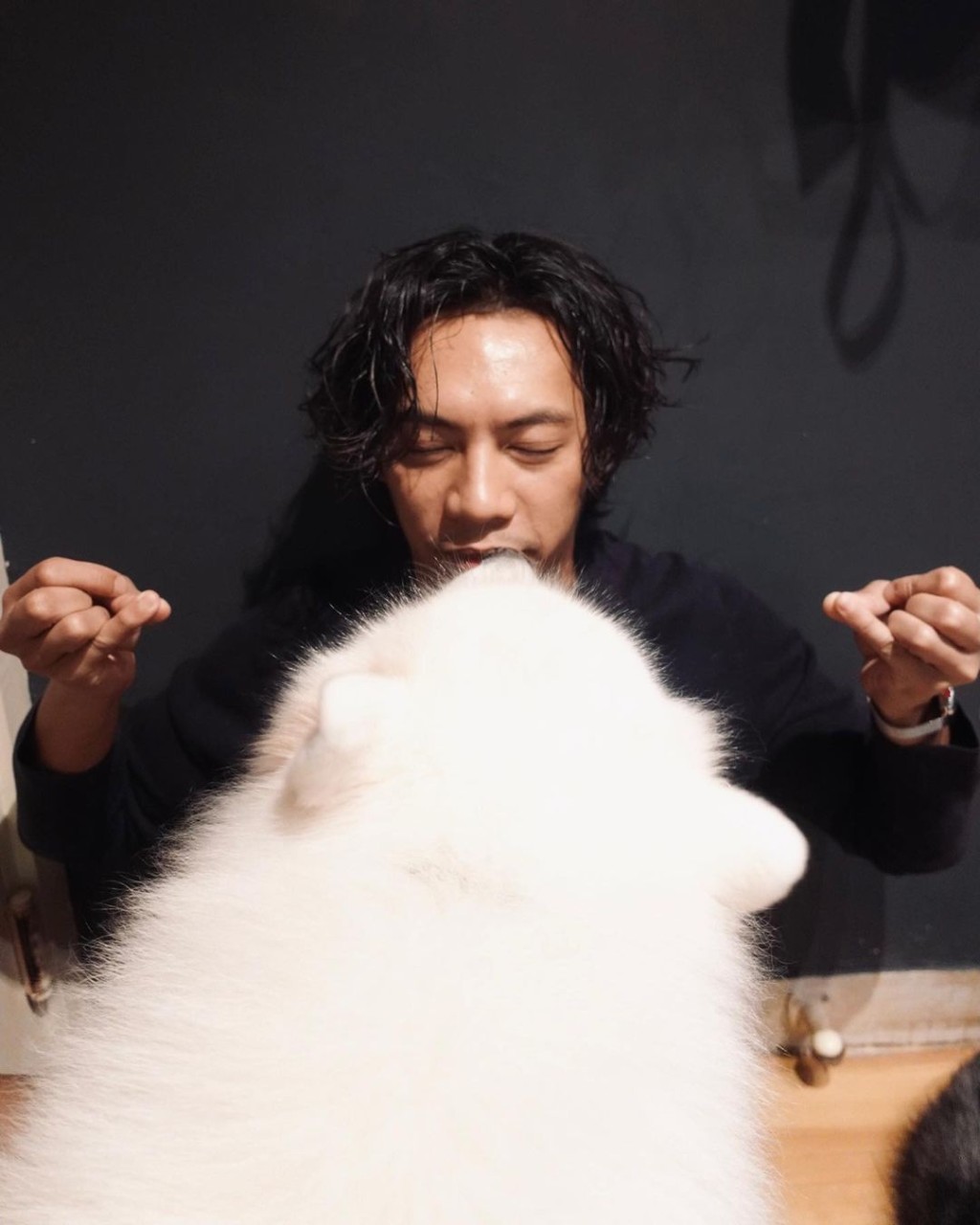 愛犬騷擾都唔影響佢派心!