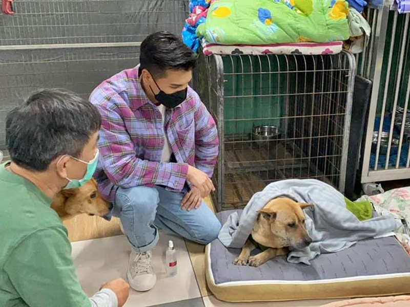 陳展鵬祝願一班毛孩可以快些有新家庭照顧。Facebook圖片