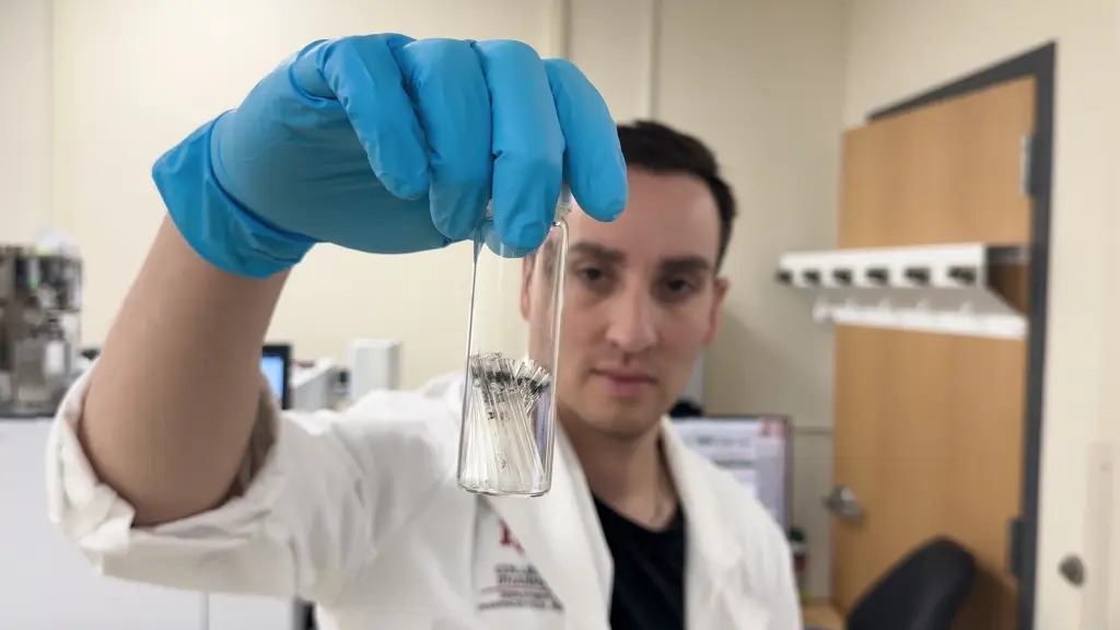 在所研究的大腦中發現的最常見微塑膠類型是聚乙烯。 網圖 在所研究的大腦中發現的最常見微塑膠類型是聚乙烯。 網圖