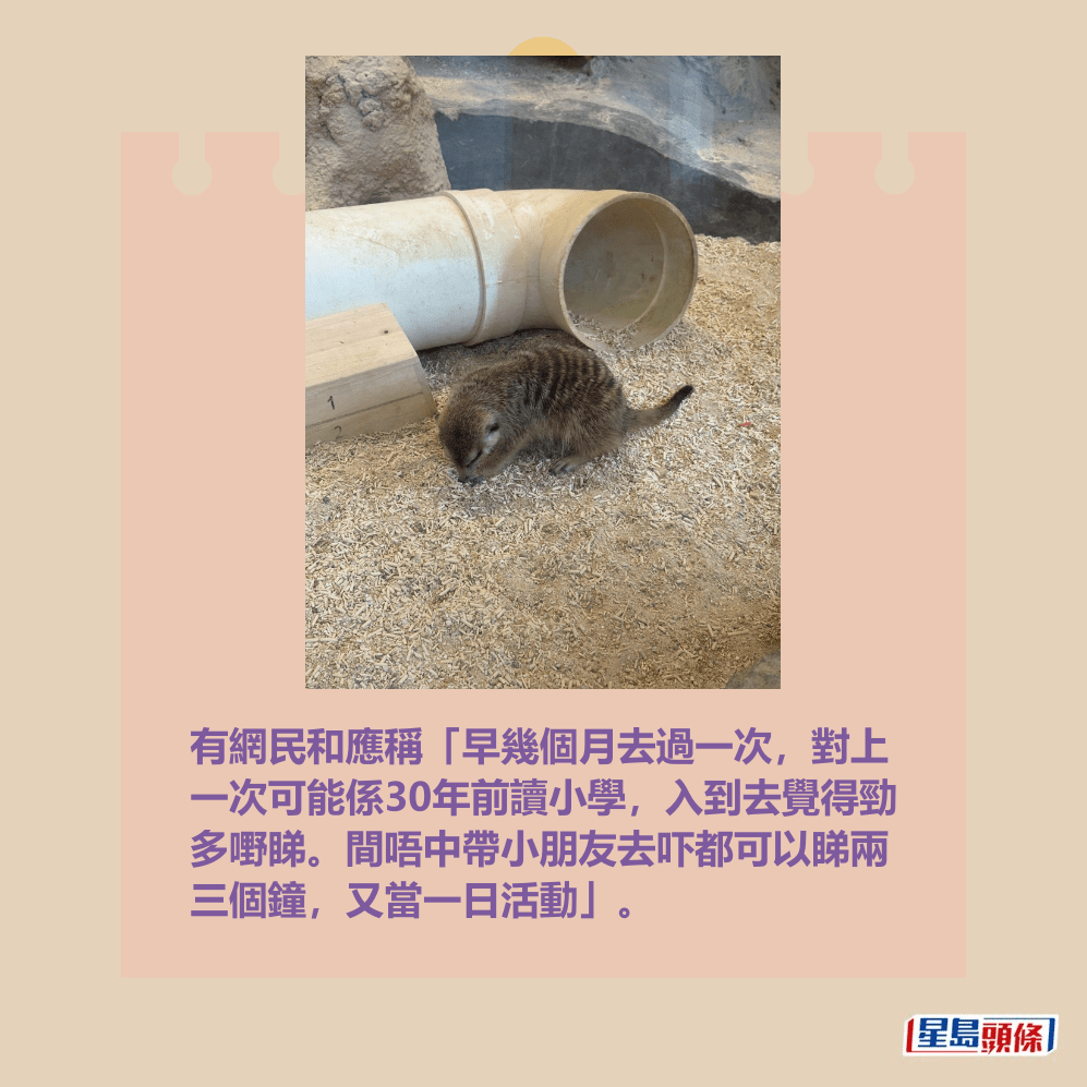 有網民和應稱「早幾個月去過一次,對上 一次可能係30年前讀小學,入到去覺得勁 多嘢睇。間唔中帶小朋友去吓都可以睇兩 三個鐘,又當一日活動」。Threads截圖 有網民和應稱「早幾個月去過一次,對上 一次可能係30年前讀小學,入到去覺得勁 多嘢睇。間唔中帶小朋友去吓都可以睇兩 三個鐘,又當一日活動」。Threads截圖