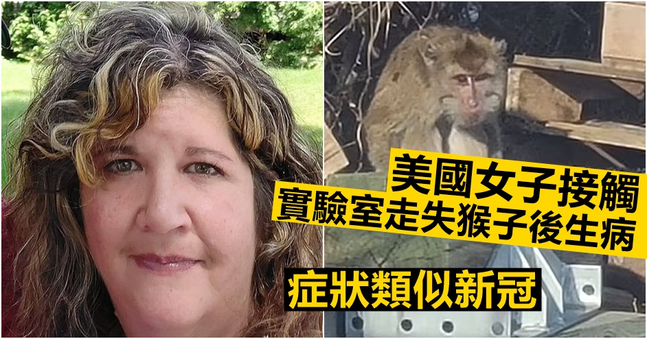 美國女子接觸實驗室走失猴子後生病,症狀類似新冠。網圖