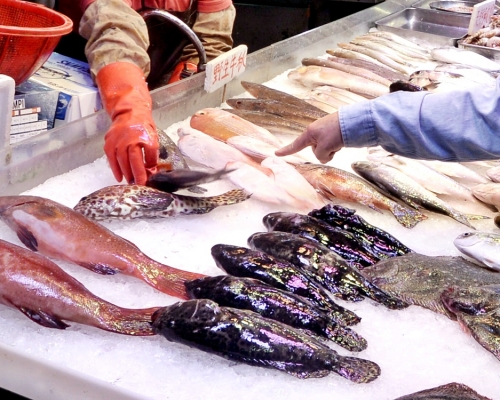 政府擬就如何人道地屠宰活魚制定指引,供食環署轄下街市魚檔作參考。資料圖片