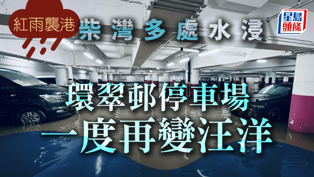 環翠邨停車場再出現水浸。網上圖片