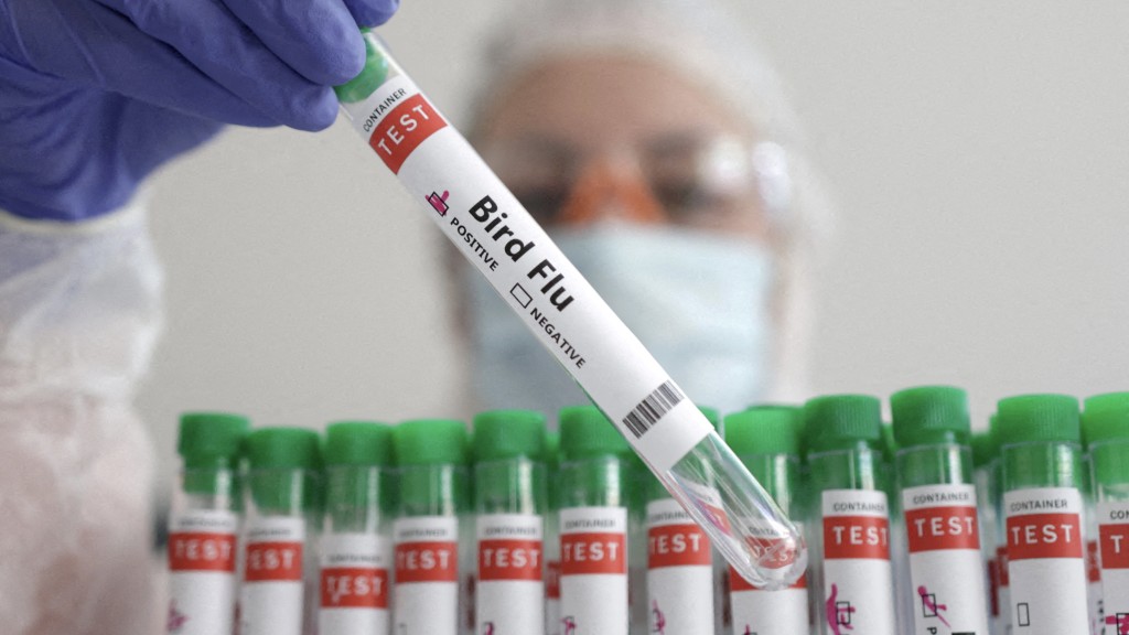 实验室人员拿着写有“禽流感”标签的试管。 路透社