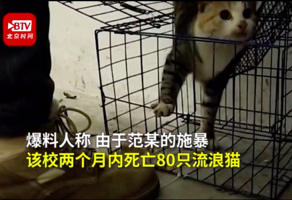 網圖