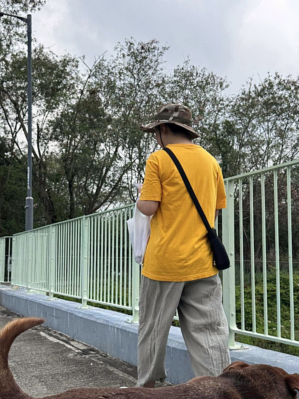 黃衫女子走來會合。fb:上水,粉嶺,大埔分享群 黃衫女子走來會合。fb:上水,粉嶺,大埔分享群
