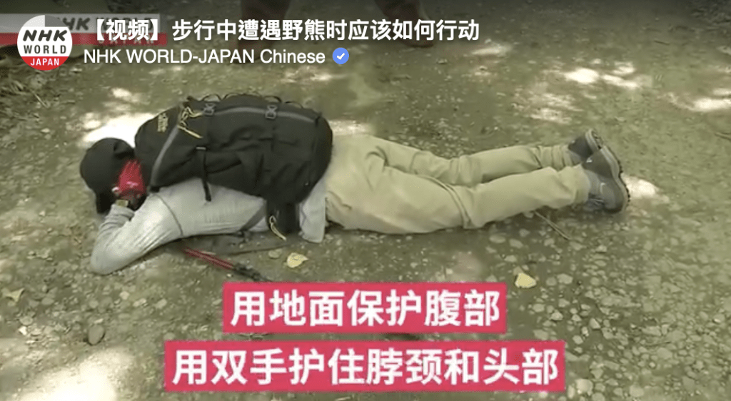 萬一近距離遭遇熊襲,應以雙臂護頭面、臉朝下趴地,用背囊保護背部,直至熊離開為止。 萬一近距離遭遇熊襲,應以雙臂護頭面、臉朝下趴地,用背囊保護背部,直至熊離開為止。