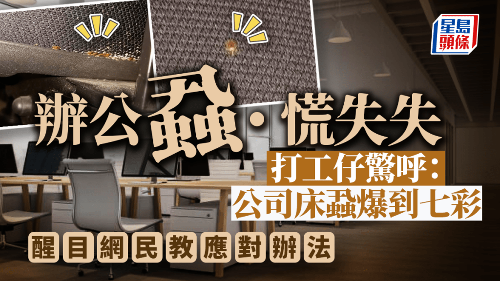 辦公室椅邊驚見床蝨竇? 打工仔崩潰唔想返工 網民教避蝨妙法