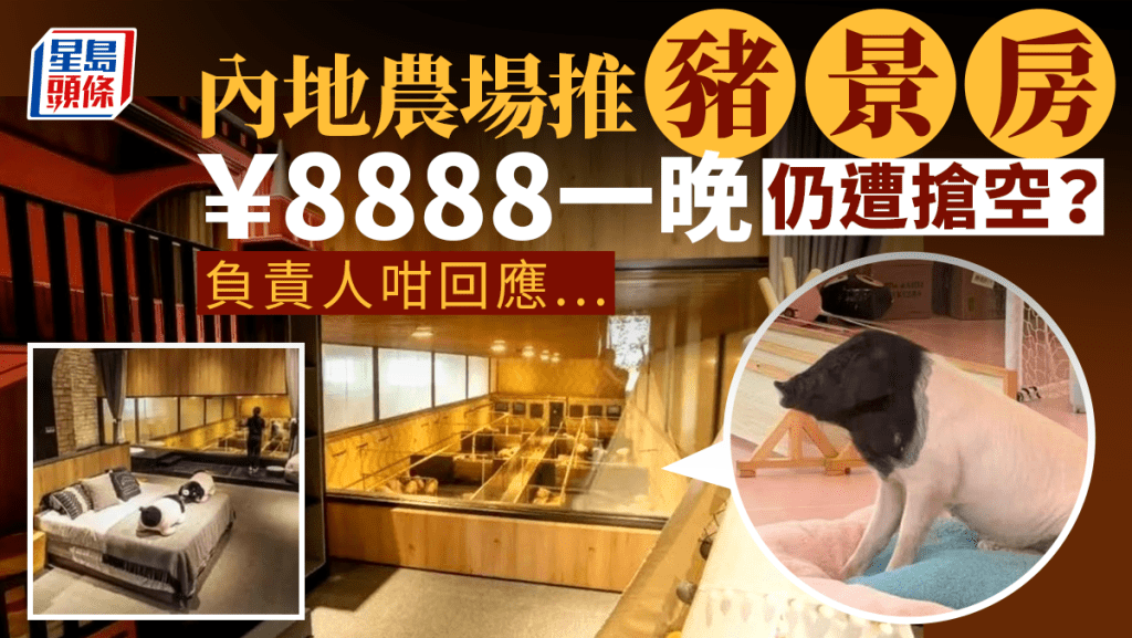 「豬景房」8888元一晚仍被搶空? 農場:是年卡套餐還送1隻豬 0700