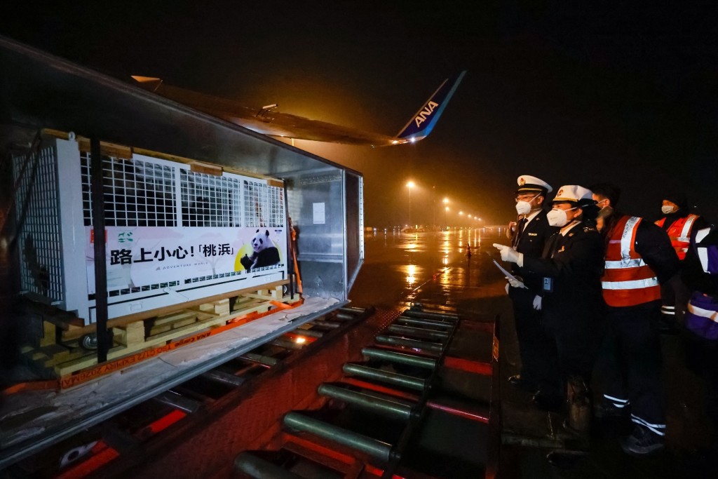 成都海關人員監卸抵達中國的大熊貓「永明」。新華社