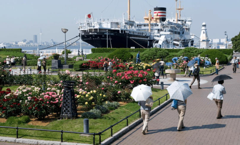 山下公園位於橫濱市中區，是當地著名旅遊熱點，鄰近中華街與橫濱港，每日吸引大量遊客。Alamy