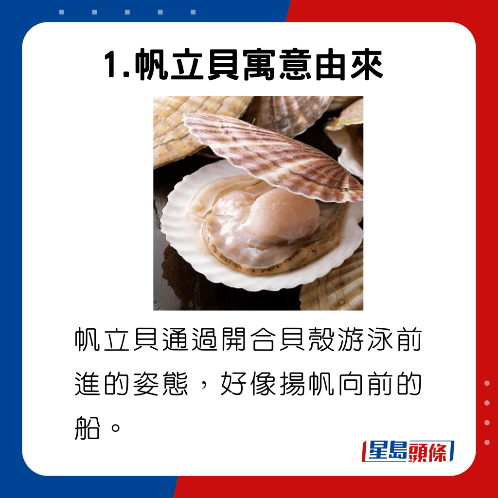 帆立貝寓意由來，皆因帆立貝通過開合貝殼游泳前進的姿態，好像揚帆向前的船。