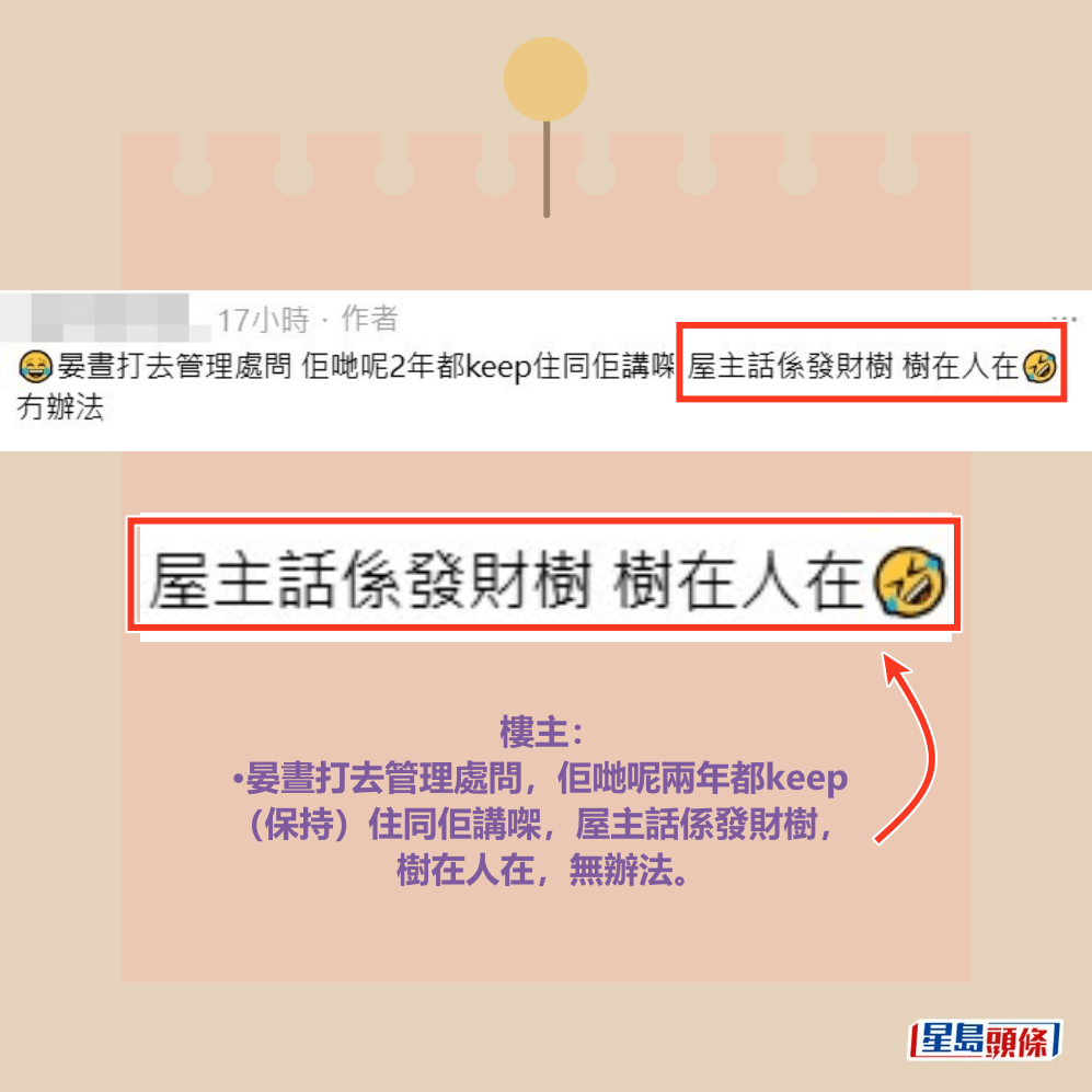樓主： •晏晝打去管理處問，佢哋呢兩年都keep （保持）住同佢講㗎，屋主話係發財樹， 樹在人在，無辦法。Threads截圖