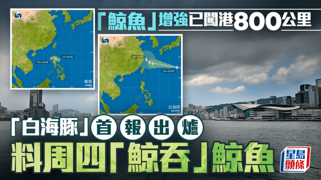熱帶氣旋「鯨魚」增強殺入本港800公里 「白海豚」首報出爐 明日見「鯨吞」結果