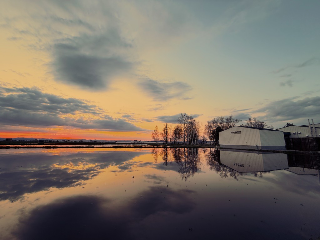 造酒所需的水源、环境、气候,这里一应俱全。 造酒所需的水源、环境、气候,这里一应俱全。