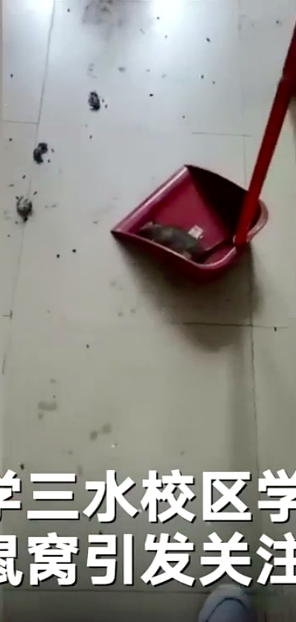 影片截圖