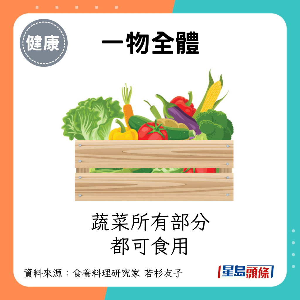 蔬菜所有部分都可食用