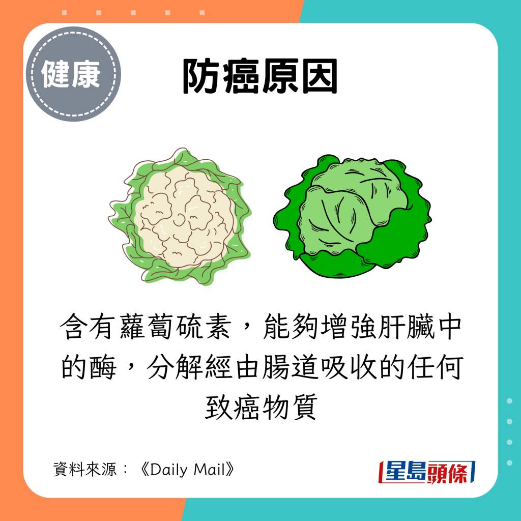 含有蘿蔔硫素，能夠增強肝臟中的酶，分解經由腸道吸收的任何致癌物質