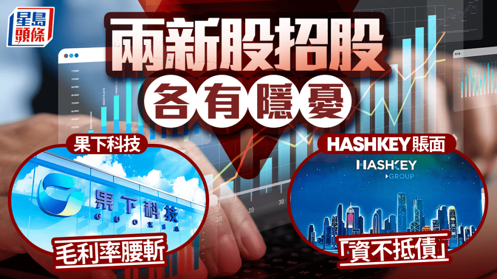 两新股招股各有隐忧 果下科技毛利率腰斩 HASHKEY账面「资不抵债」