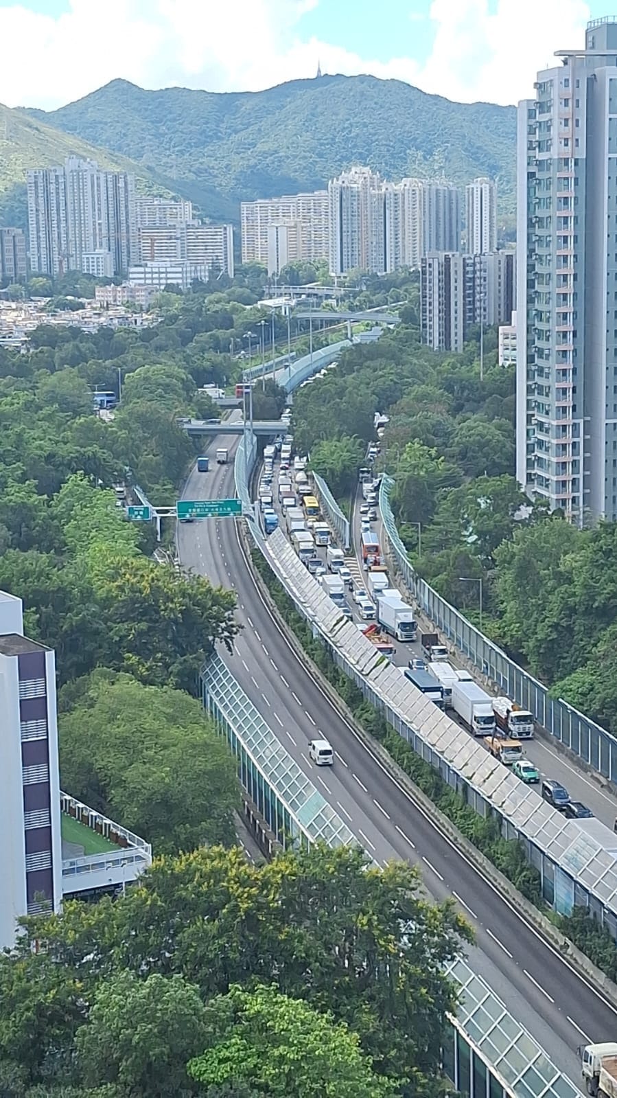 上水區大塞車。網上圖片 上水區大塞車。網上圖片