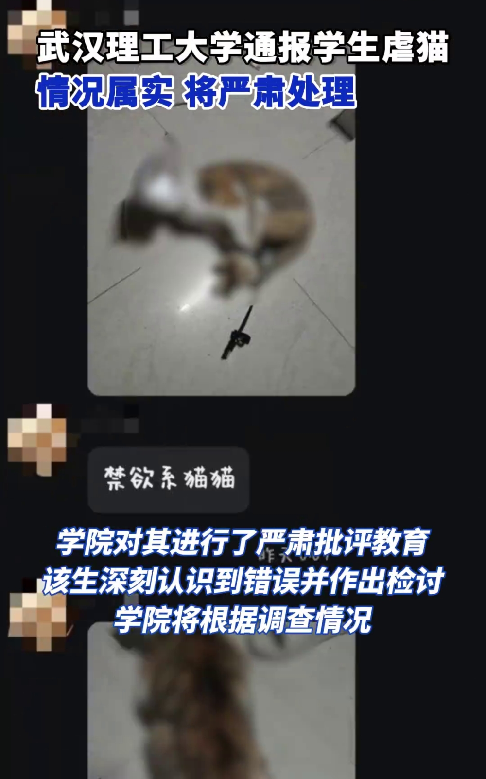 大学生虐猫的照片在网上流传。