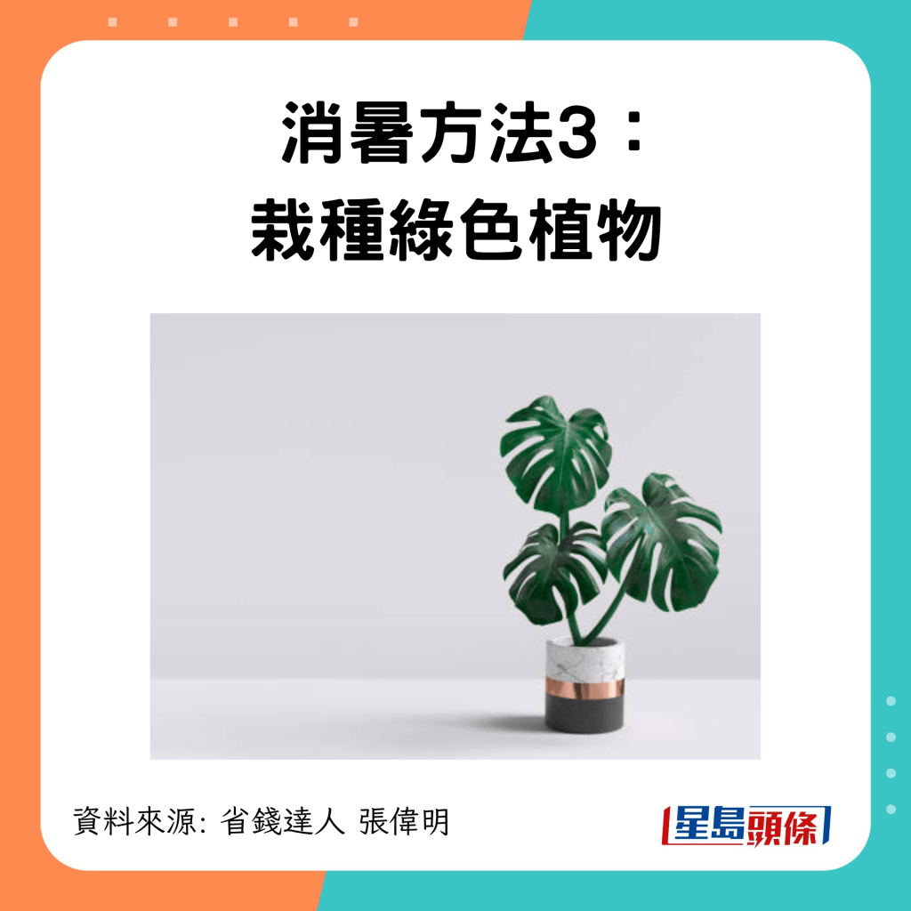 6招迅速降溫：栽種綠色植物