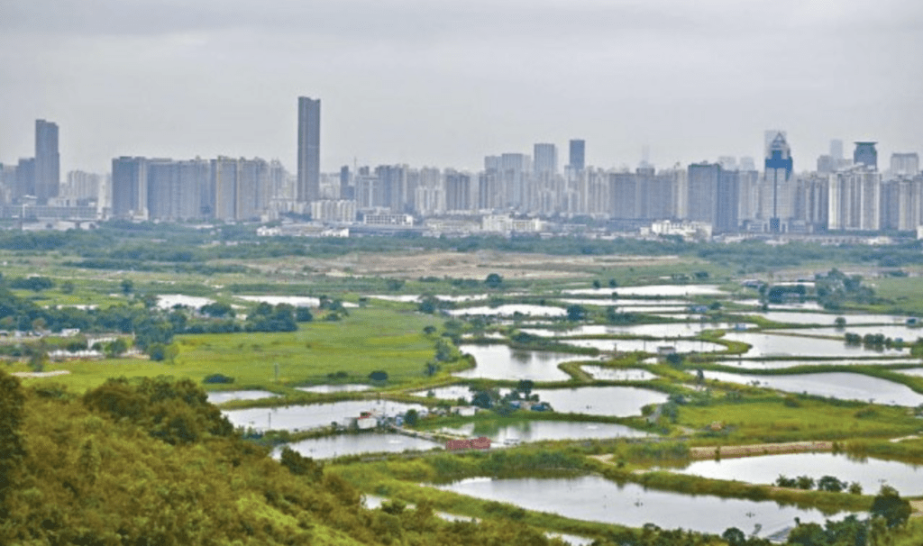 為配合北部都會區發展,地政總署昨日(30日)聯同多個政府部門,展開洪水橋/厦村新發展區第二期的聯合行動,90個已過遷出限期住戶全部自行遷出。 為配合北部都會區發展,地政總署昨日(30日)聯同多個政府部門,展開洪水橋/厦村新發展區第二期的聯合行動,90個已過遷出限期住戶全部自行遷出。