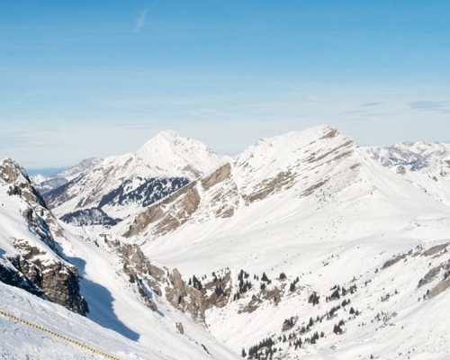 阿爾卑斯山區發生多宗雪崩意外。網圖