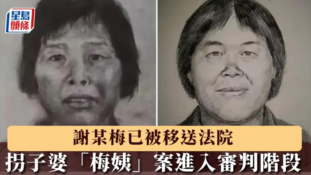 拐子婆「梅姨」案進入審判階段。圖為「梅姨」的模擬畫像