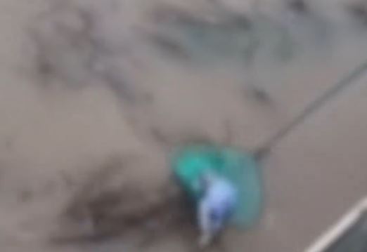 永州居民用渔网捞起被洪水冲走的孩婴。