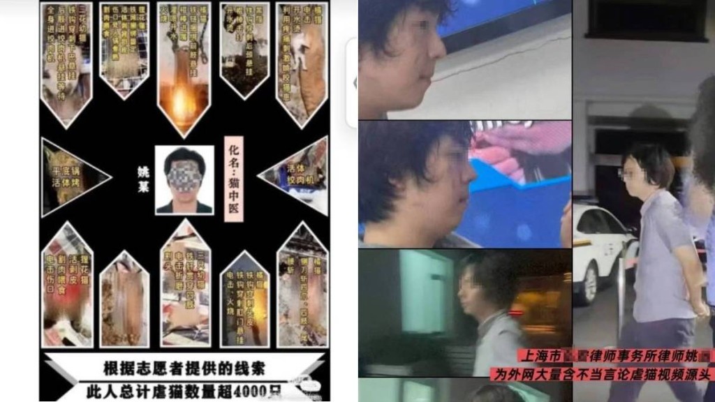 被指拍虐殺貓隻影片出售的上海律師姚某，與調查的貓義工發生衝突被警方帶走。微博