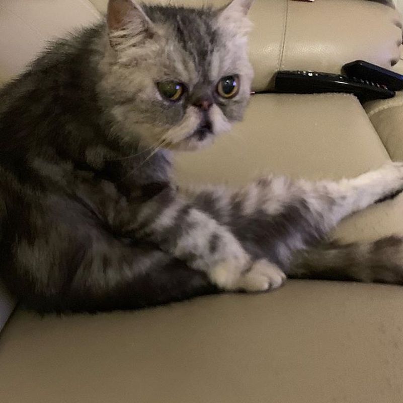 囝仔樣子可愛。ig