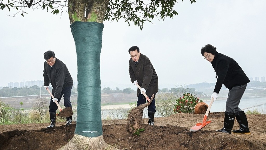 （左起）王炯、袁家軍、程麗華參加植樹。重慶日報